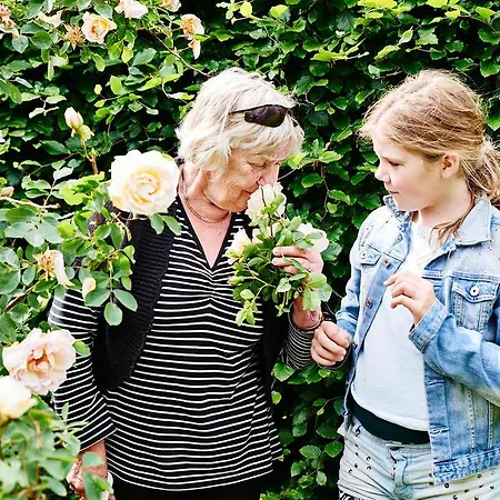 Hostel Agger Vandrerhjem Vandrerhjem