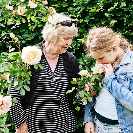 Hostel Agger Vandrerhjem بيت شباب Agger