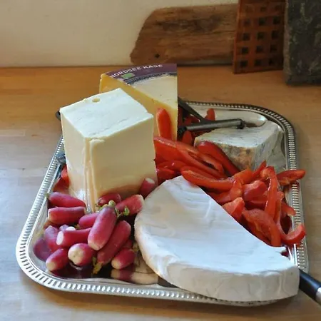 호스텔 Hostel Agger Vandrerhjem