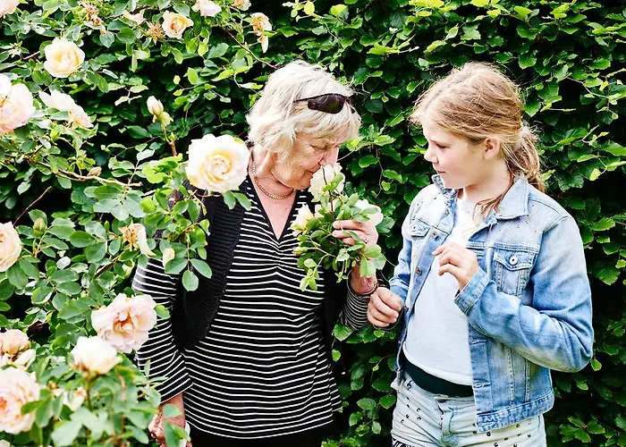 Hostel Agger Vandrerhjem Hostal