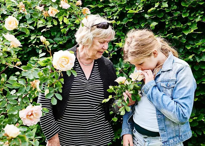 Hostel Agger Vandrerhjem אכסניה Agger