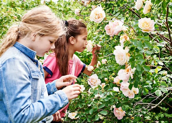 Hostal Hostel Agger Vandrerhjem *